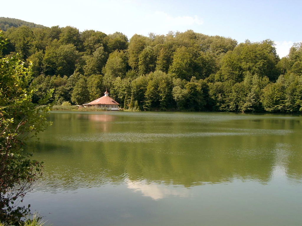 Mogosa